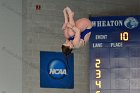 Diving vs Babson  Wheaton College Diving vs Babson College. - Photo By: KEITH NORDSTROM : Wheaton, Diving